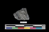 藏品(煙煤)的圖片